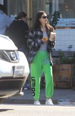 AMELIA HAMLIN Out for Fresh Juice in Hollywood 10/19/2021