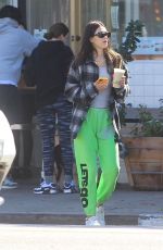AMELIA HAMLIN Out for Fresh Juice in Hollywood 10/19/2021