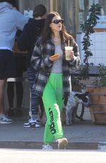 AMELIA HAMLIN Out for Fresh Juice in Hollywood 10/19/2021