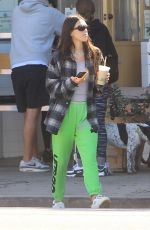 AMELIA HAMLIN Out for Fresh Juice in Hollywood 10/19/2021