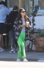 AMELIA HAMLIN Out for Fresh Juice in Hollywood 10/19/2021