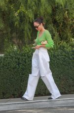 CARA SANTANA Out for Lunch at San Vicente Bungalows in West Hollywood 10/21/2021