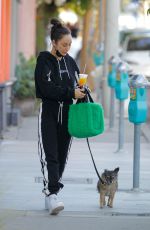 CARA SANTANA Out with Her Dog in West Hollywood 10/09/2021