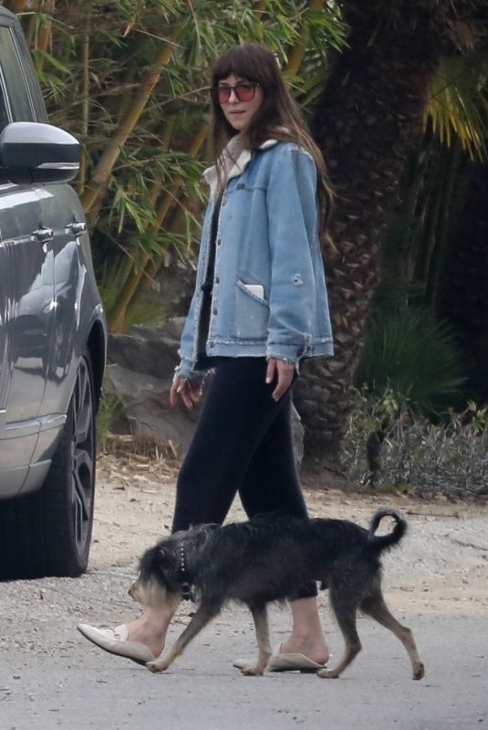 DAKOTA JOHNSON Out and About in Malibu 10/30/2021