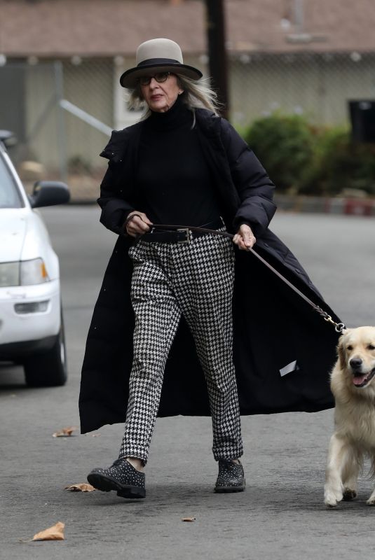 DIANE KEATON Out with Her Golden Retriever in Brentwood 10/23/2021