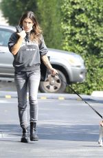 ELISABETTA CANALIS Out wit Her Dog in West Hollywood 10/08/2021