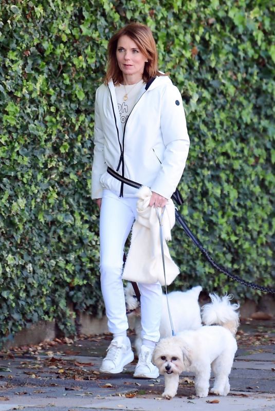 GERI HALLIWELL Out with Her Dogs in London 09/29/2021
