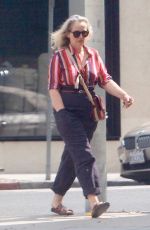JULIE DELPY Out Shopping in Hollywood 10/08/2021
