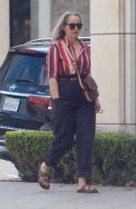 JULIE DELPY Out Shopping in Hollywood 10/08/2021