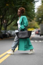 JUSTINE SKYE Out Carrying DKNY Effortless Bag in New York 10/12/2021