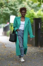 JUSTINE SKYE Out Carrying DKNY Effortless Bag in New York 10/12/2021