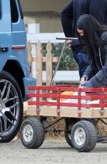 KYLIE JENNER at Underwood Farms in Los Angeles 10/10/2021