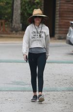LISA RINNA in a Black Yoga Pants and Grey Hoodie Out Hikinig in Los Angeles 10/24/2021