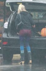 MALIN AKERMAN Out Shopping for Groceries in Los Feliz 10/25/2021
