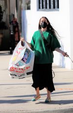 SCOUT WILLIS Shopping at Art Supply Store with Her Dog in Los Angeles 10/27/2021