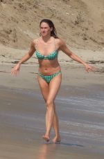 SHAILENE WOODLEY in Bikini at a Beach in Malibu 09/30/2021