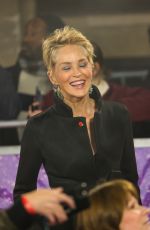 SHARON STONE Arrives at Pride of Britain Awards in London 10/30/2021
