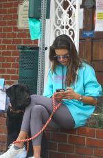 ALESSANDRA AMBROSIO Out with Her Dog in Brentwood 11/02/2021