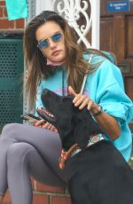 ALESSANDRA AMBROSIO Out with Her Dog in Brentwood 11/02/2021