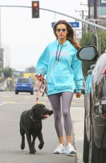 ALESSANDRA AMBROSIO Out with Her Dog in Brentwood 11/02/2021