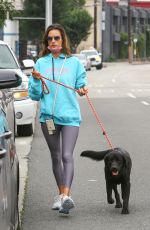 ALESSANDRA AMBROSIO Out with Her Dog in Brentwood 11/02/2021