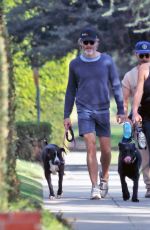 ANNABELLE WALLIS Out for a Dog Walk in Los Angeles 11/07/2021