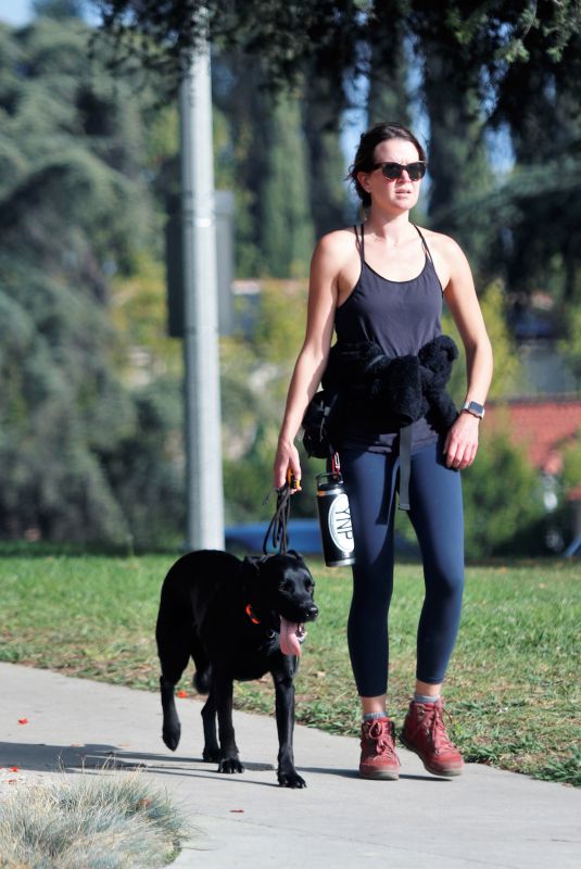 ANNABELLE WALLIS Out for a Dog Walk in Los Angeles 11/07/2021