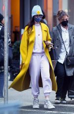 ANNE HATHAWAY Out and About in New York 11/17/2021
