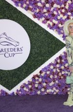 ANNE HECHE at Breeders Cup Red Carpet in Del Mar 11/06/2021