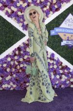 ANNE HECHE at Breeders Cup Red Carpet in Del Mar 11/06/2021