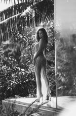 BARBARA PALVIN for Harper