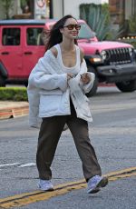 CARA SANTANA Leaves a Hair Salon in West Hollywood 11/09/2021