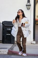 CARA SANTANA Leaves a Hair Salon in West Hollywood 11/09/2021