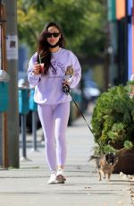 CARA SANTANA Out with Her Dog in West Hollywood 11/04/2021