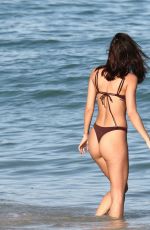 CHANTEL JEFFRIES in Bikini in Miami Beach 11/28/2021