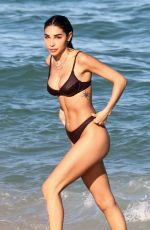 CHANTEL JEFFRIES in Bikini in Miami Beach 11/28/2021