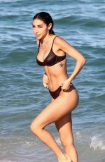 CHANTEL JEFFRIES in Bikini in Miami Beach 11/28/2021