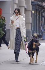 EMILY RATAJKOWSKI Out with Her Dog in New York 11/17/2021