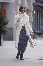 EMILY RATAJKOWSKI Out with Her Dog in New York 11/17/2021