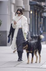 EMILY RATAJKOWSKI Out with Her Dog in New York 11/17/2021