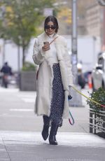 EMILY RATAJKOWSKI Out with Her Dog in New York 11/17/2021