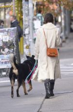 EMILY RATAJKOWSKI Out with Her Dog in New York 11/17/2021