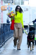 EMILY RATAJKOWSKI Out with Her Dog Shopping for Fresh Flowers in New York 11/18/2021
