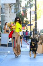 EMILY RATAJKOWSKI Out with Her Dog Shopping for Fresh Flowers in New York 11/18/2021