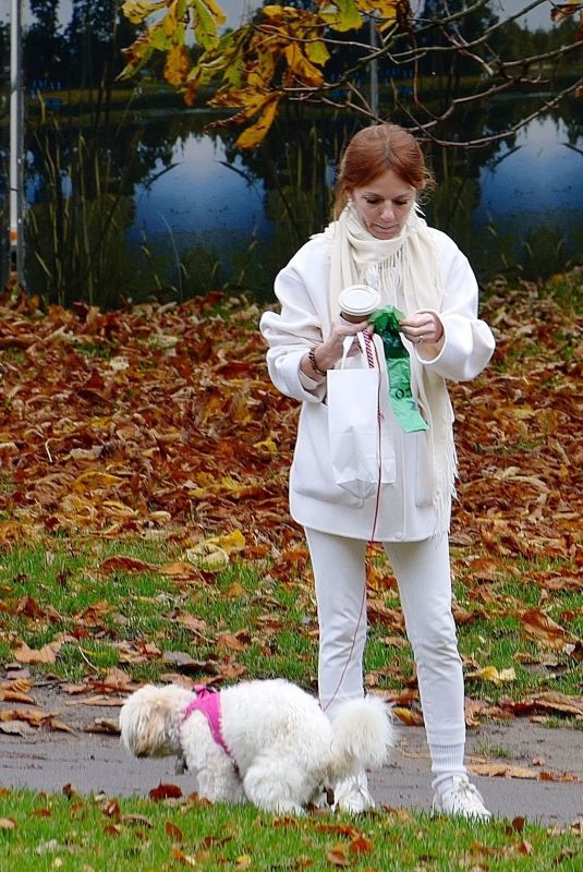 GERI HALLIWELL Out with Her Dog in London 11/13/2021