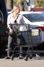 HILARY DUFF Out for Grocery Shopping in Studio City 11/28/2021