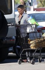 HILARY DUFF Out Shopping at Ralphs in Studio City 11/28/2021