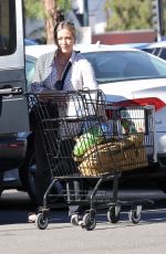 HILARY DUFF Out Shopping at Ralphs in Studio City 11/28/2021