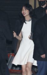 HOYEON JUNG at Louis Vuitton and Nicolas Ghesquiere Celebrate an Evening  with Friends in Malibu 11/19/2021 – HawtCelebs