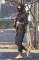JORDANA BREWSTER Out for Drinks in Brentwood 11/03/2021